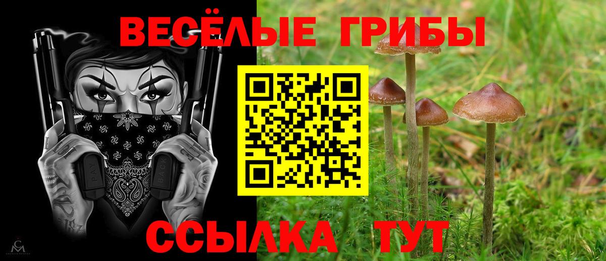 Псилоцибиновые грибы Cubensis  Псилоцибиновые грибы ЛСД  Новоалтайск  Вход с VPN 